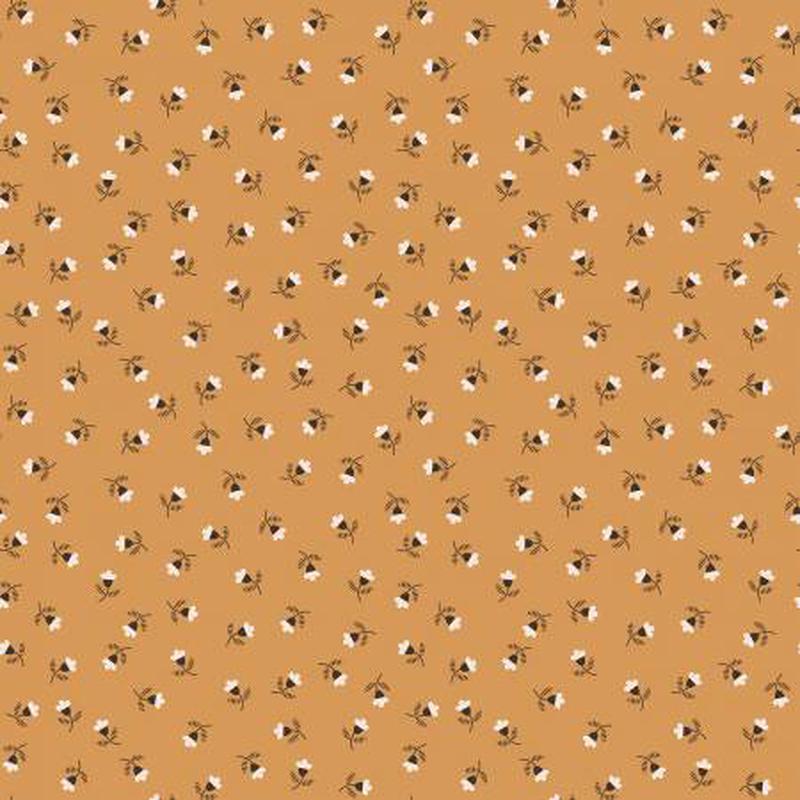 Autumn Blossom Cider C14654-Cider