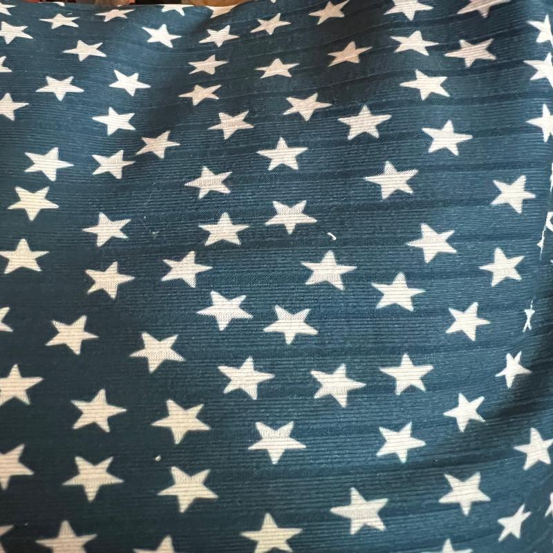 Brushed Ribbed knit - MS041 - Regular Scale - RETAIL