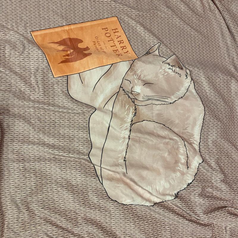 Soft Kitty Panel - RETAIL