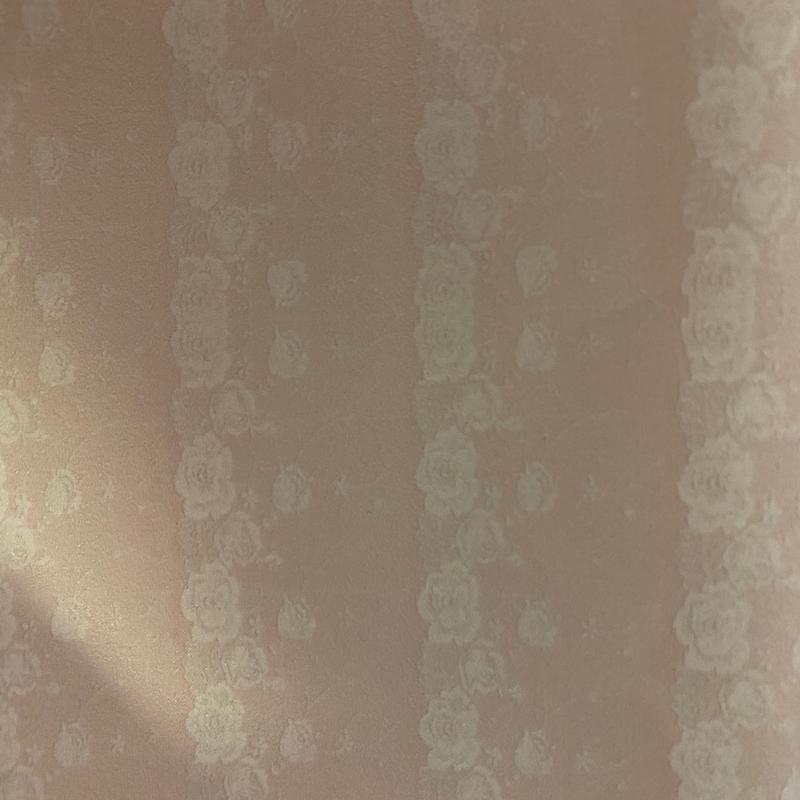 Satin - Blush Grunge Lace - Regular Scale - RETAIL