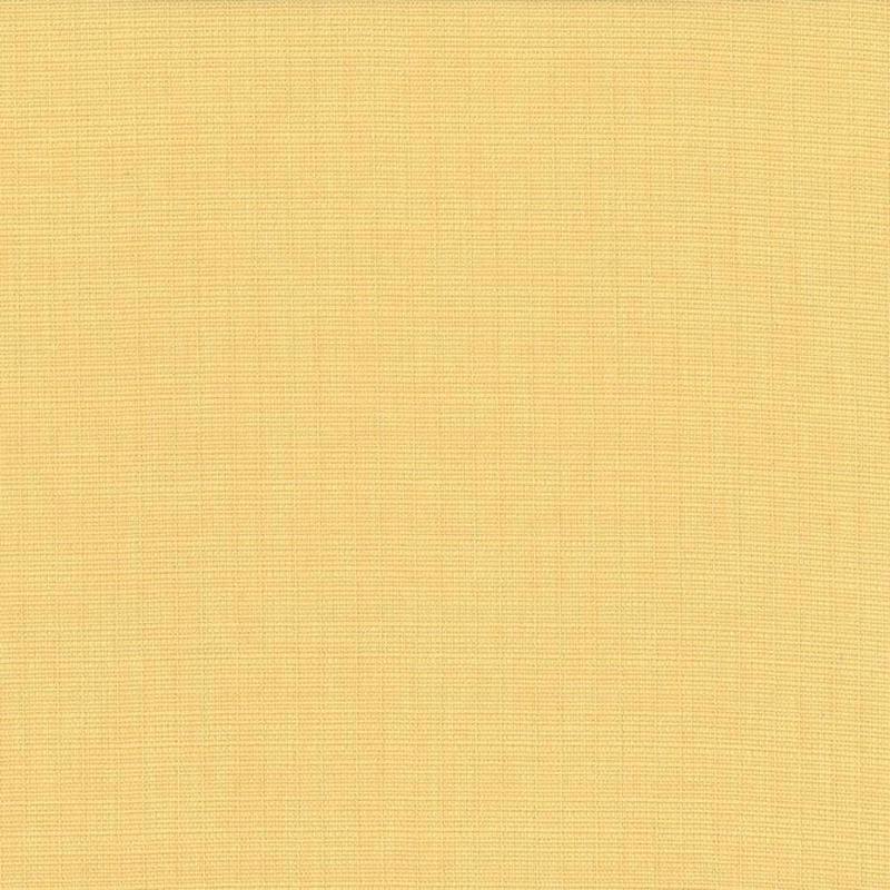 Auberge Champagne by Kasmir Fabric