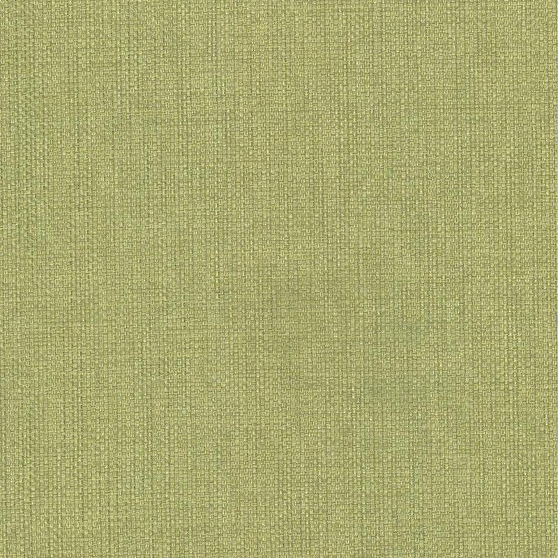 Bolsa Avocado by Kasmir Fabric