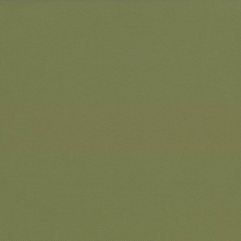 Docksider Basil by Kasmir Fabric