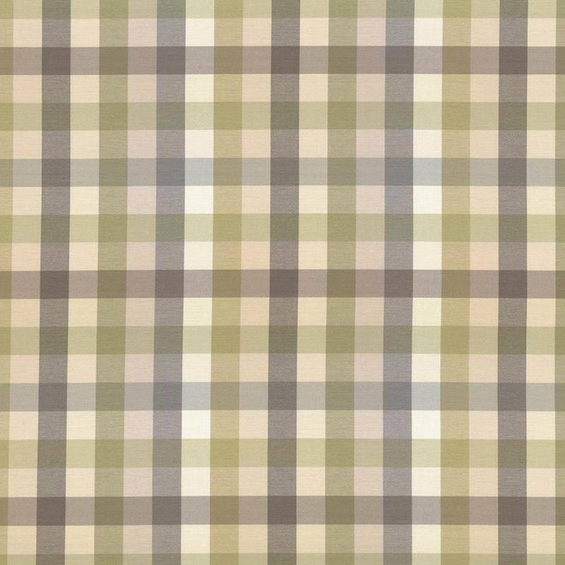 Dupuy Check Grey Garden by Kasmir Fabric