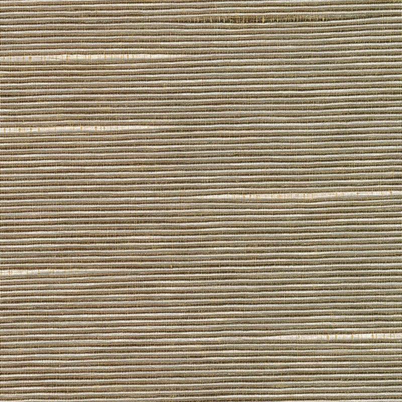 Boxwood Husk by Kasmir Fabric