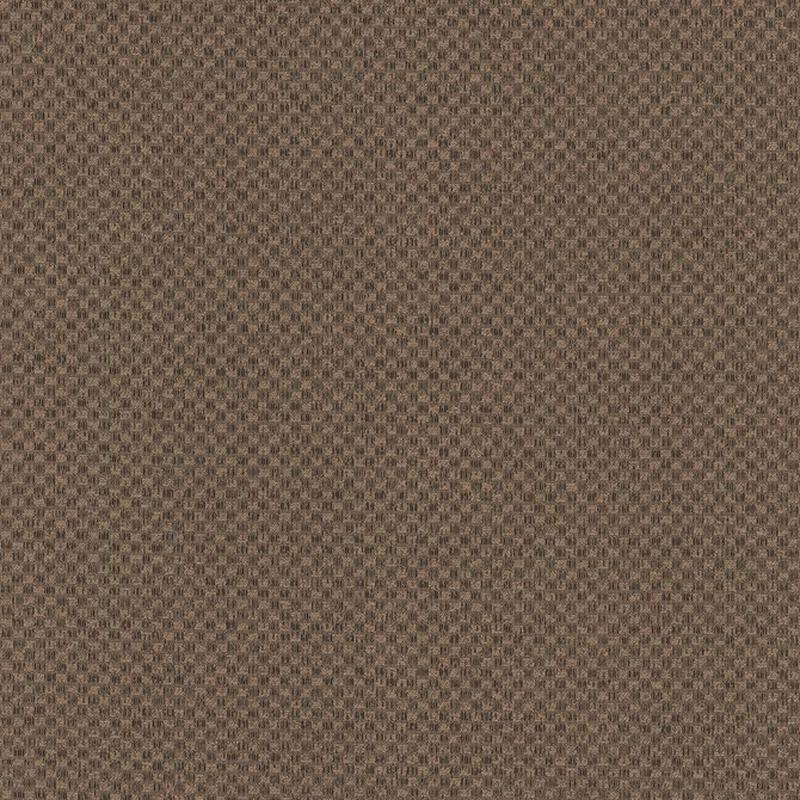Paquin Chestnut by Kasmir Fabric