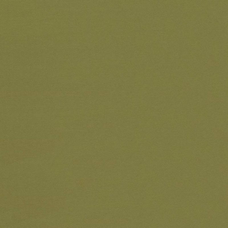 Seductive Cedar by Kasmir Fabric