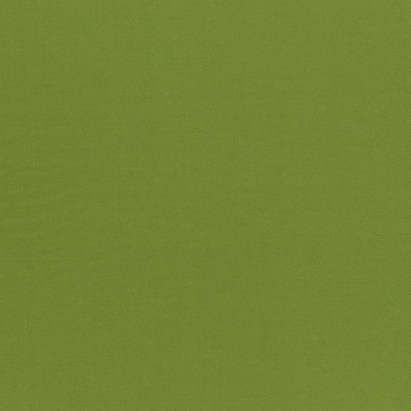 Seductive Olive by Kasmir Fabric