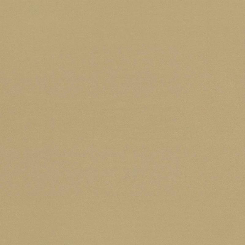 Seductive Tan by Kasmir Fabric