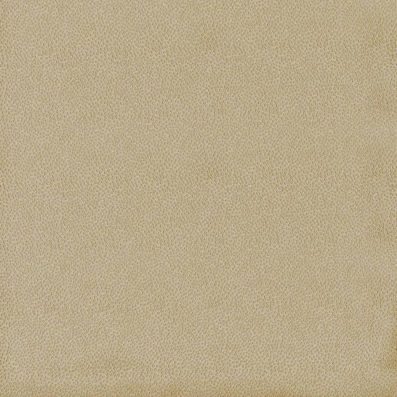 Spontaneity Cedar by Kasmir Fabric