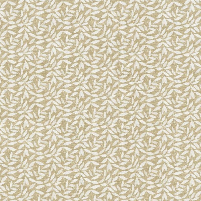 Foliate 55 Taupe by Kasmir Fabric