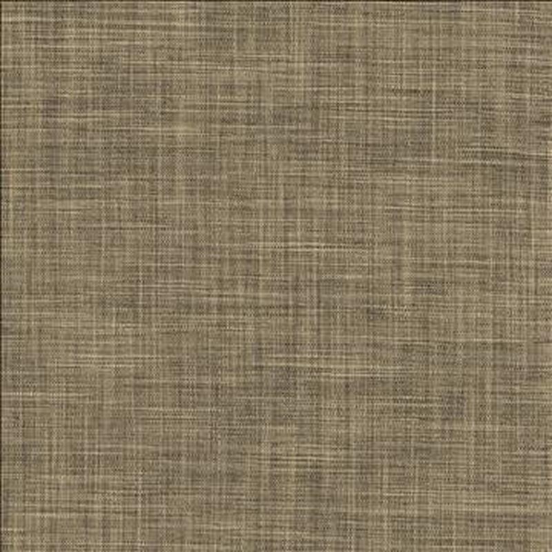 Foundation Ashen by Kasmir Fabric