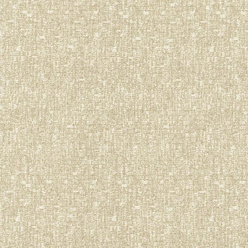 Blake Classic by Kasmir Fabric