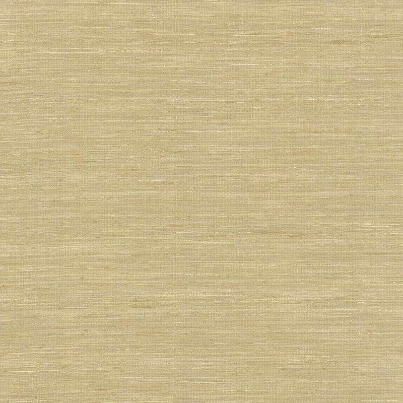 Karma Taupe by Kasmir Fabric