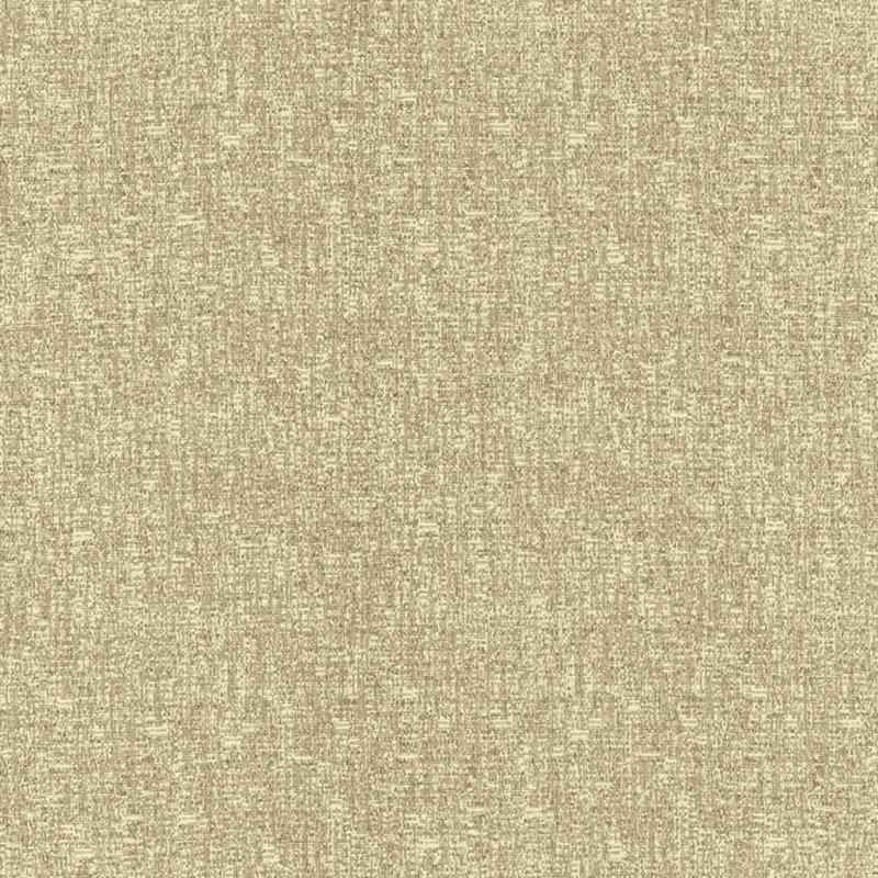 Blake Dune by Kasmir Fabric