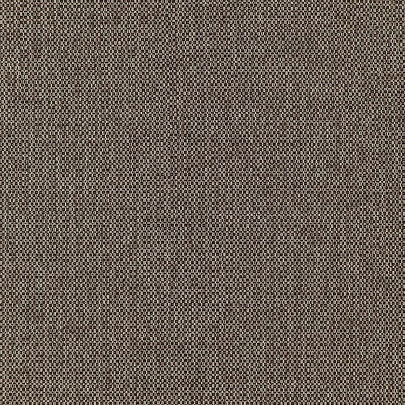 Fierce 38J7391 by JF Fabric