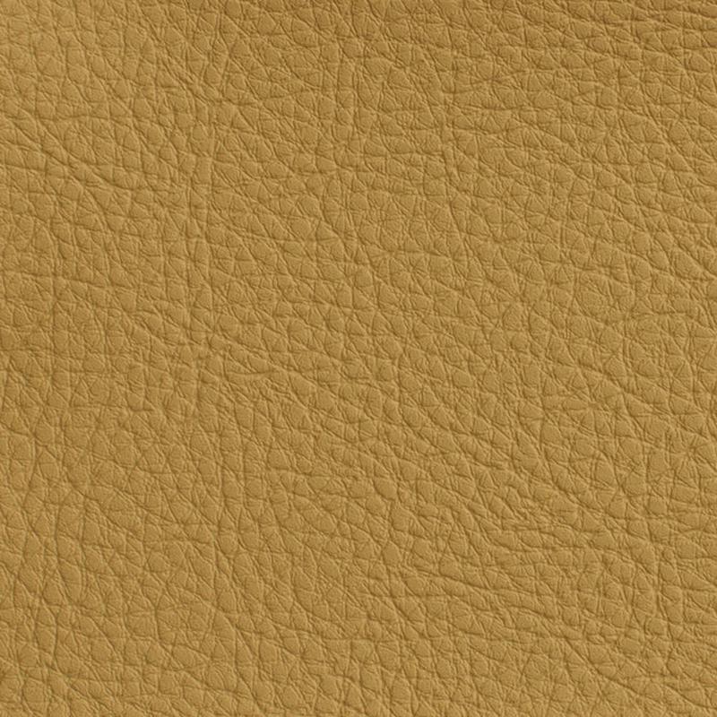 7170 Wheat by Charlotte Fabric