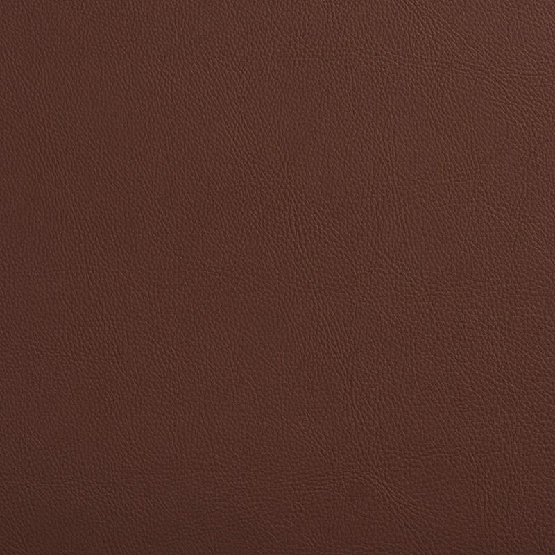 7454 Rawhide by Charlotte Fabric