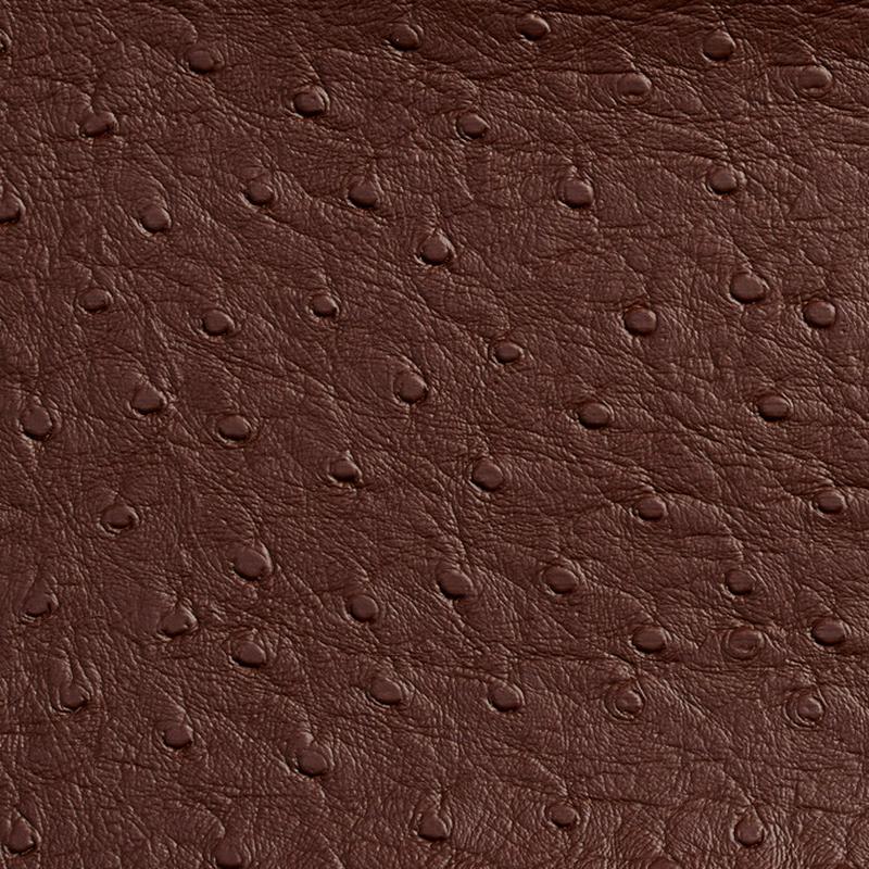 7706 Espresso by Charlotte Fabric