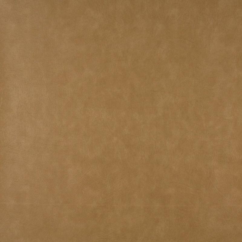 7957 Rawhide by Charlotte Fabric