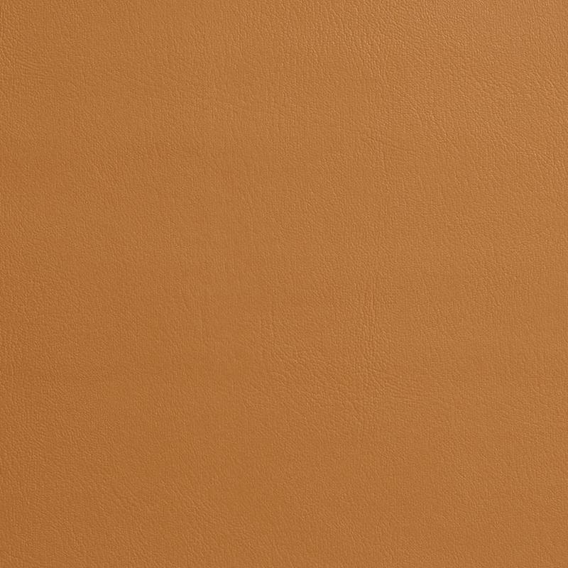 7969 Buckskin by Charlotte Fabric