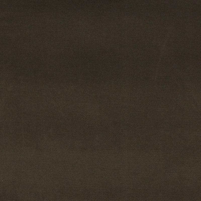 10001-03 by Charlotte Fabric