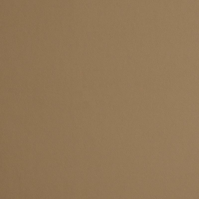 8227 Sandstone by Charlotte Fabric