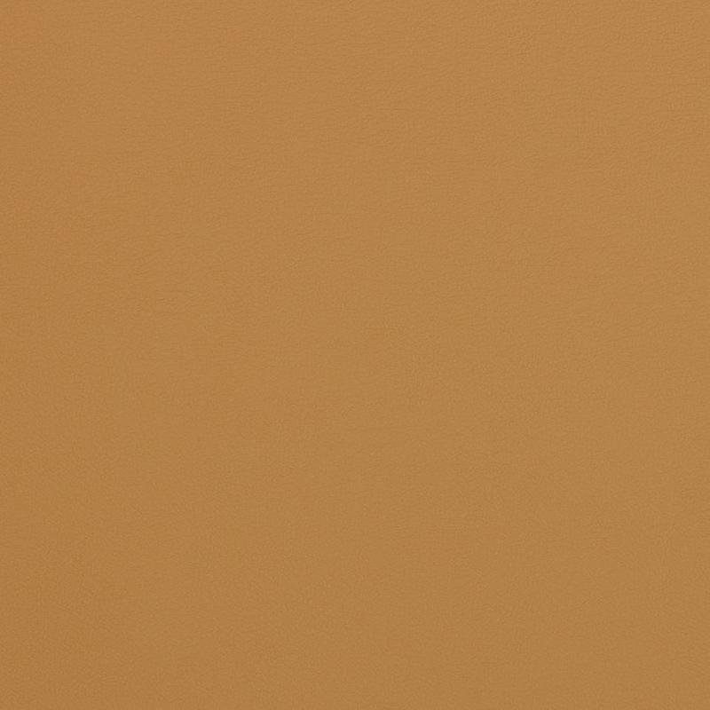 V306 Palomino by Charlotte Fabric