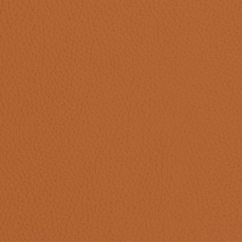 V427 Burnt Sienna by Charlotte Fabric