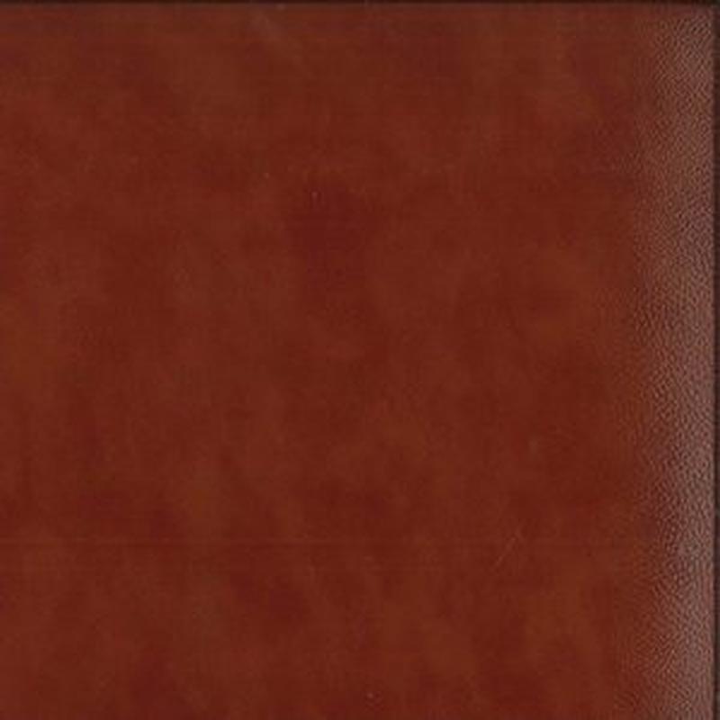 Century Spice 812 by Norbar Fabric