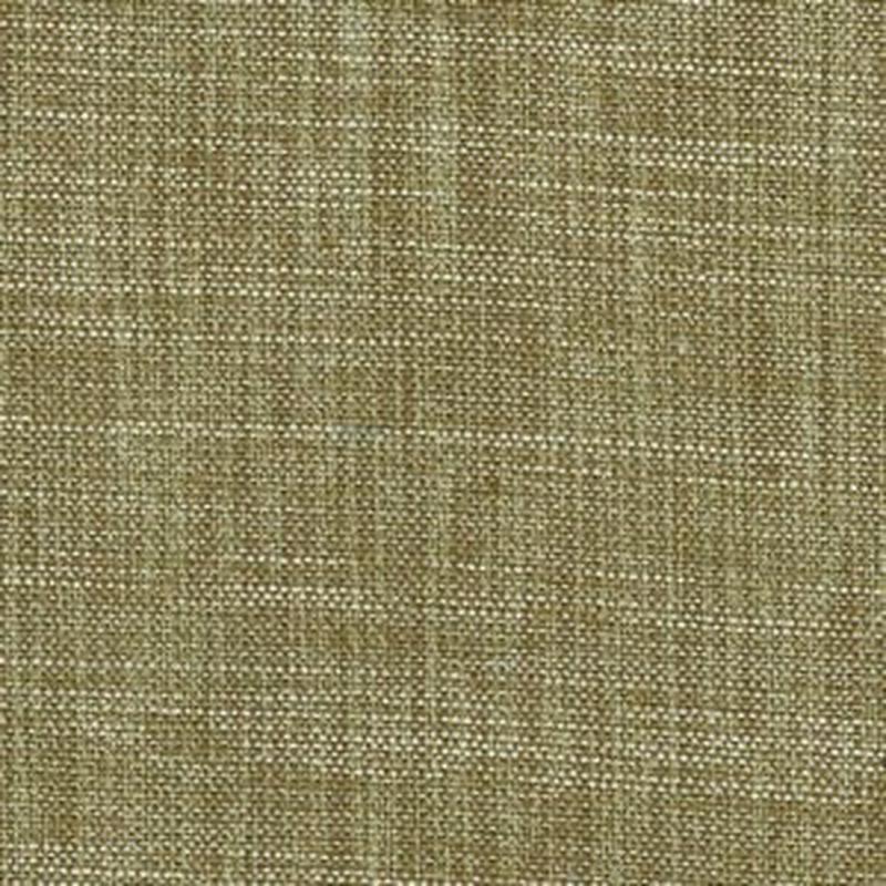 Burma Algae 52 by Norbar Fabric