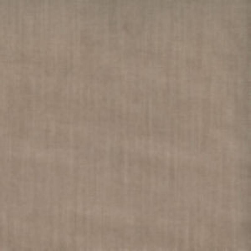 Dole Moleskin by Norbar Fabric