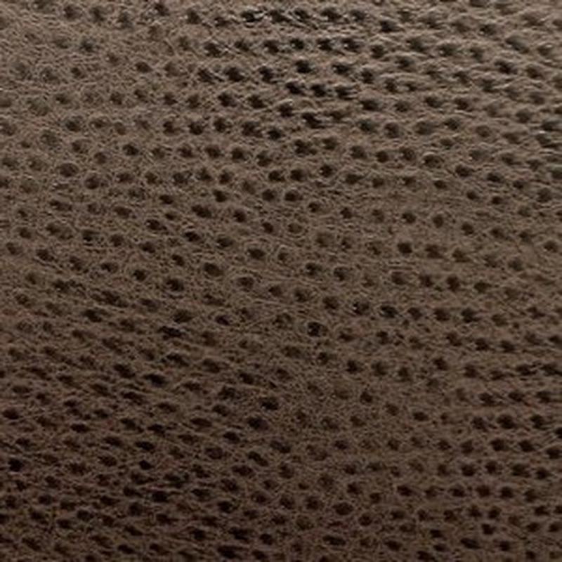 Ostrich Chocolate So 373 by Norbar Fabric