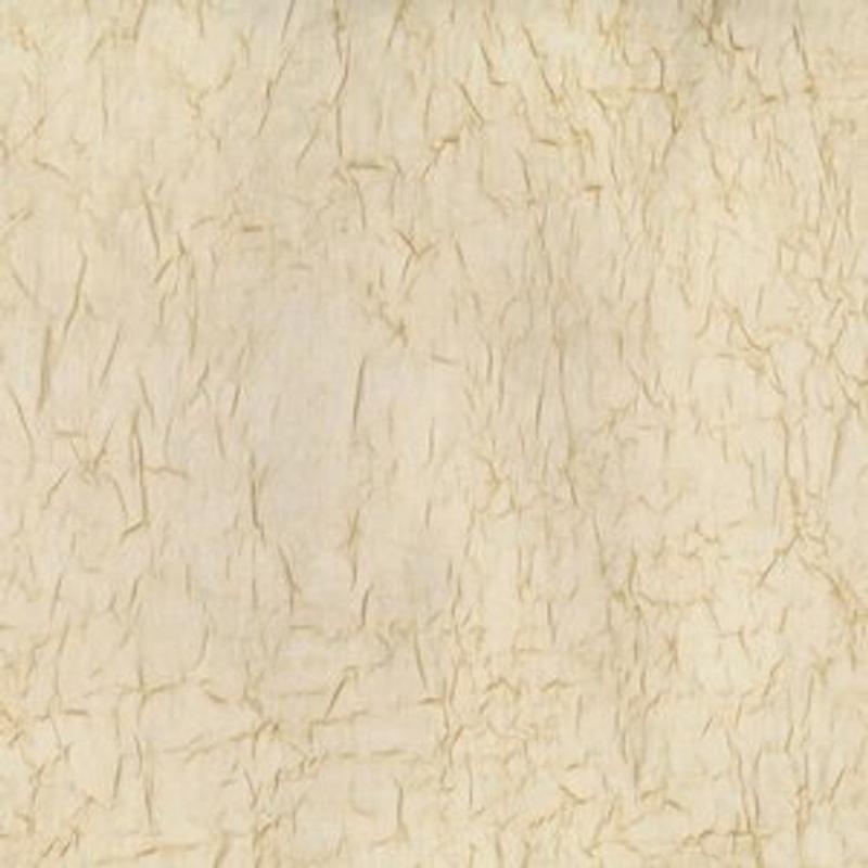 Wistful Champagne by Norbar Fabric