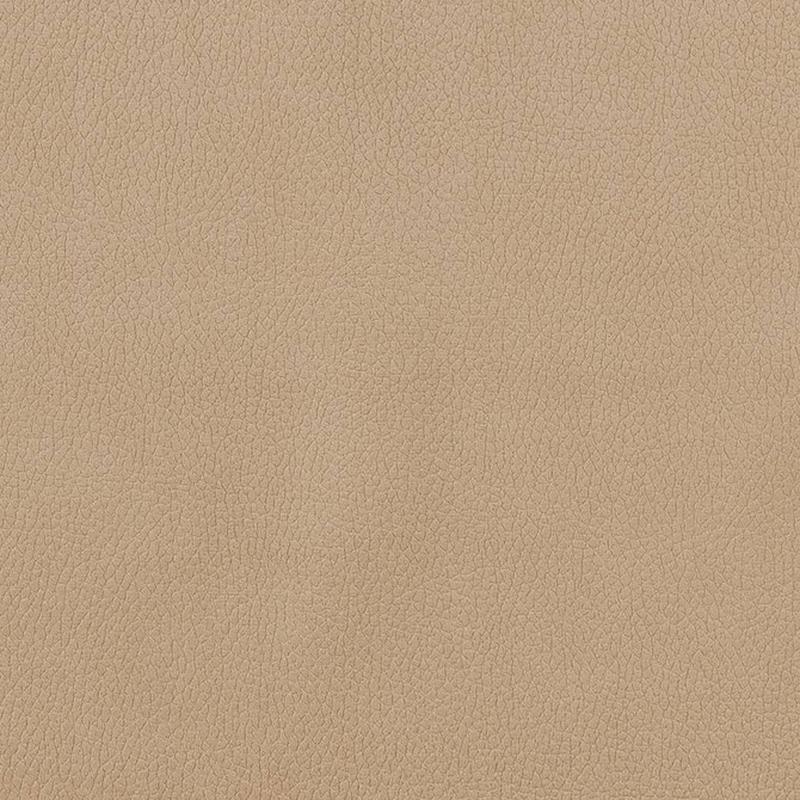 CB600-156 by Charlotte Fabric