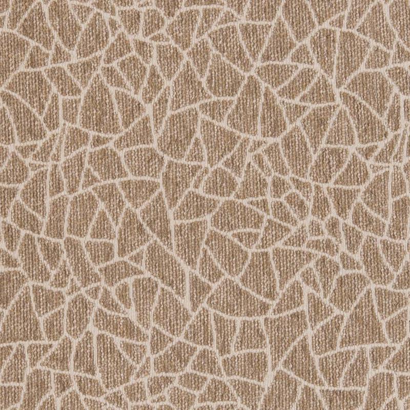 CB800-218 by Charlotte Fabric