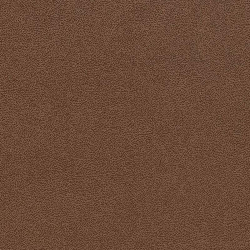 V509 Pecan by Charlotte Fabric