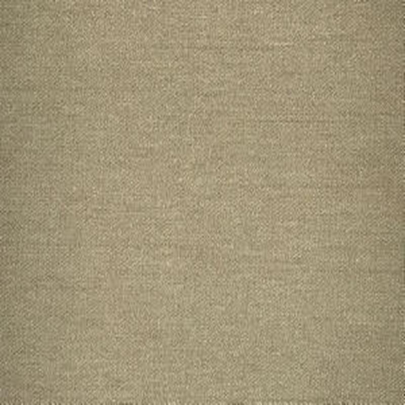 Condor Earth by Norbar Fabric