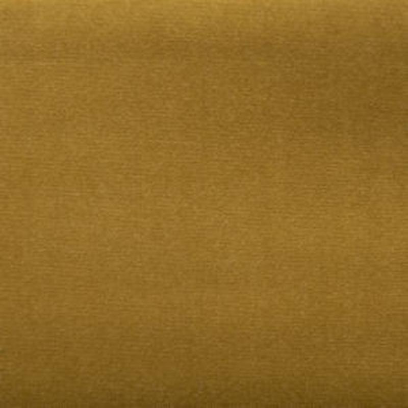 Sonic Lion by Norbar Fabric