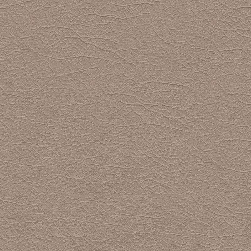 Aries 1604 Sand Dollar 54" by Softside Fabric