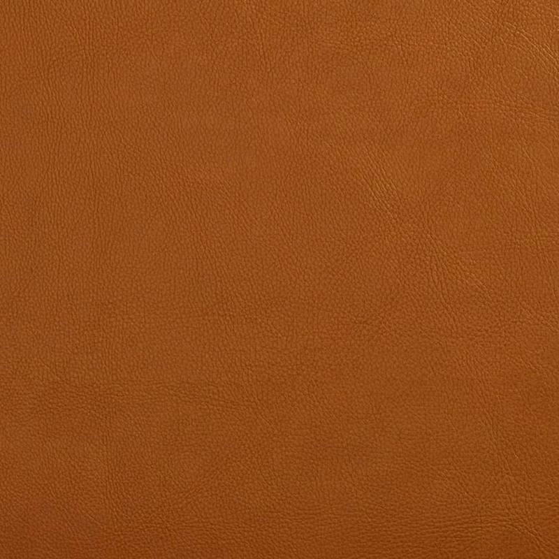 V644 Palomino by Charlotte Fabric