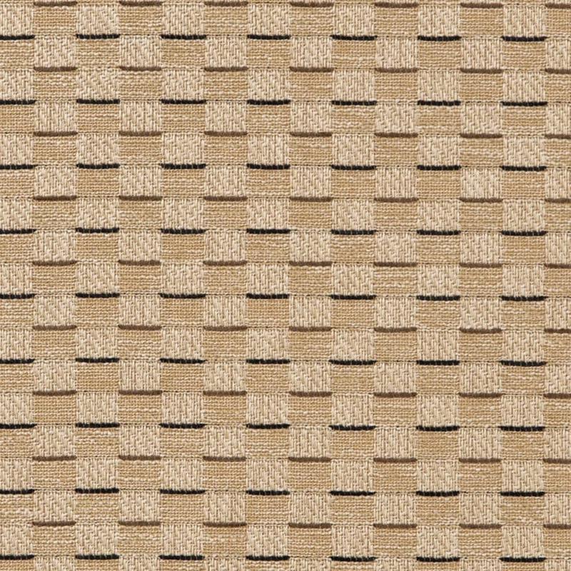 CB700-455 by Charlotte Fabric