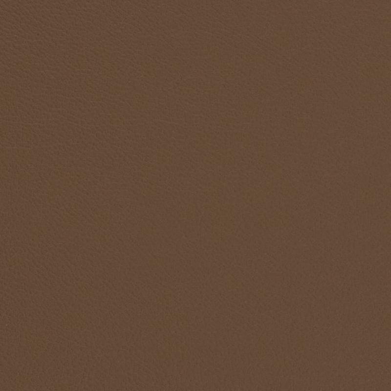 V672 Bark by Charlotte Fabric