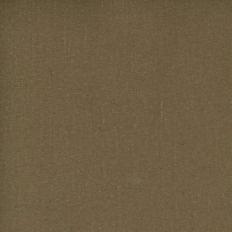 Frenzy Cardamon 869 by Norbar Fabric