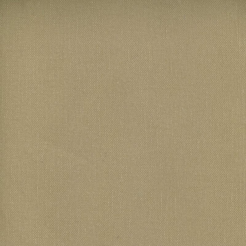 Frenzy Cork 872 by Norbar Fabric