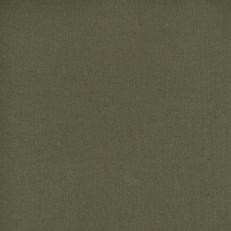 Frenzy Earth 867 by Norbar Fabric