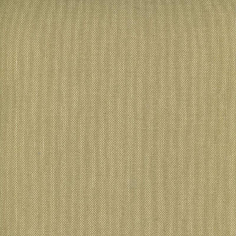 Frenzy Harvest 127 by Norbar Fabric