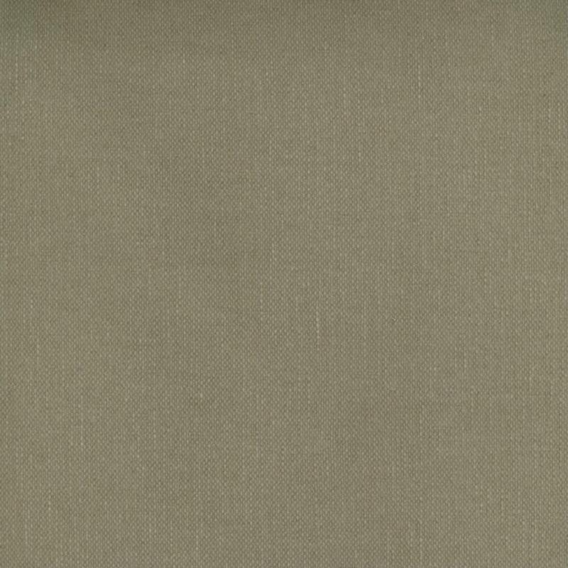 Frenzy Pecan 835 by Norbar Fabric