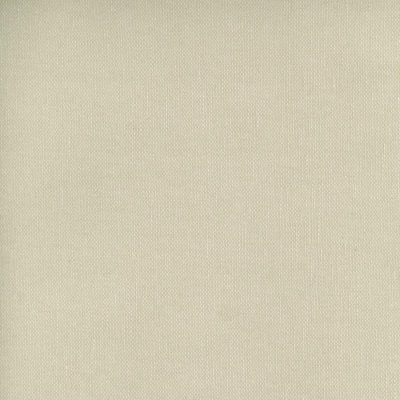 Frenzy Putty 205 by Norbar Fabric