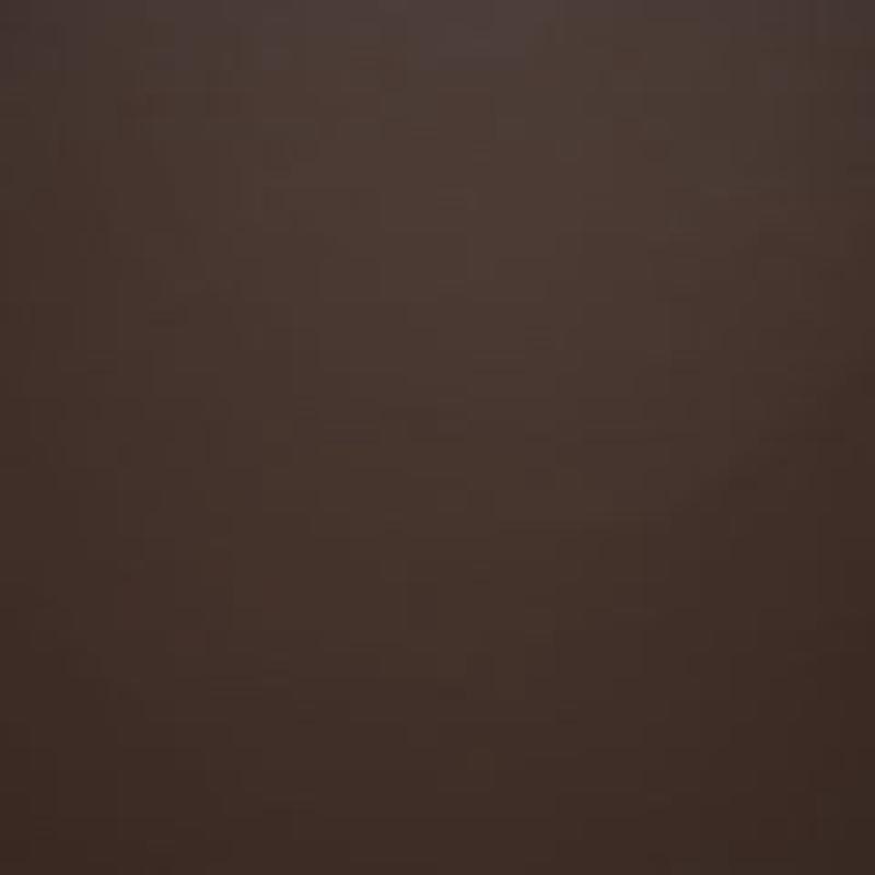 Lucky Mocha by Norbar Fabric